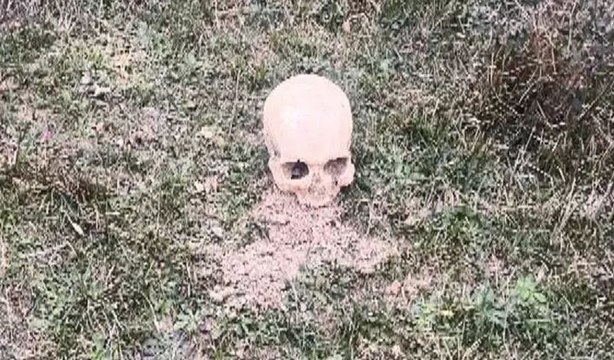 Arnavutköy'de kafatası bulundu! Polis ekipleri harekete geçti