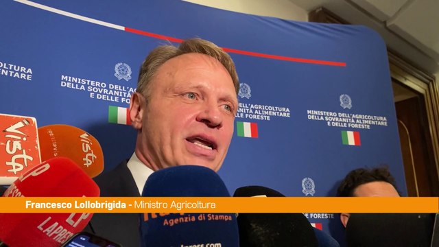 Agricoltura, Lollobrigida L'Italia è il punto di riferimento