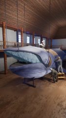 Il mange dans une baleine