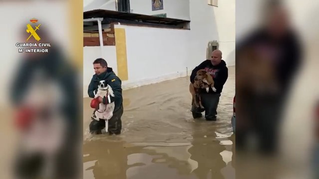 Rescates de la Guardia Civil en Cártama y Álora.