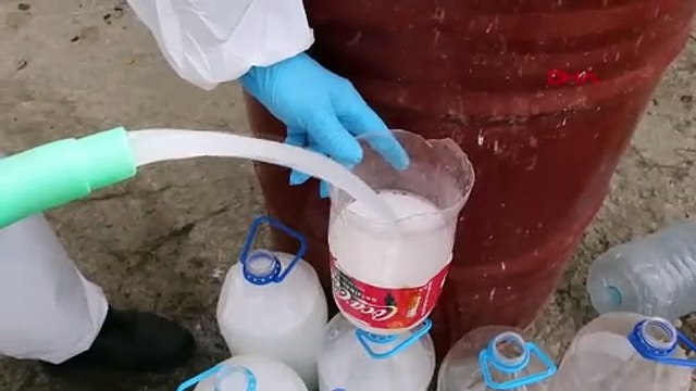 Samsun’da bidonu getiren, kahverengi kokarca böceği ilacını alıyor