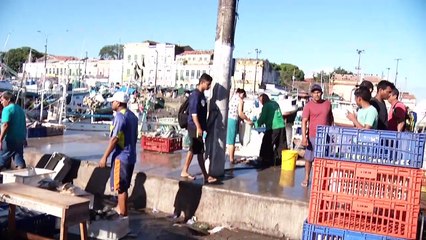 b'Cruz Vermelha faz ao pela sa\xbade dos feirantes'