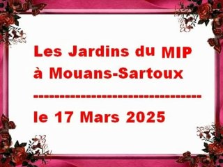 Jardins du Musée Internationnal de la Parfumerie de Mouans-Sartoux