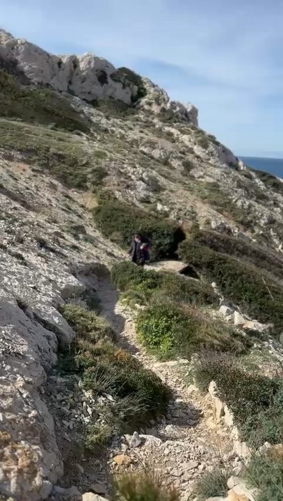 Hiking