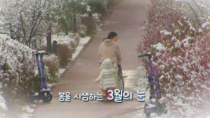 [영상] 봄 속에 피어난 순백의 아름다움, 3월의 눈꽃 / YTN