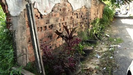 b'Populao denuncia descaso do poder p\xbablico com cemitrios So Jorge '