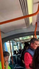 Tranvía desalojado por el ataque a pedradas de un hombre reincidente