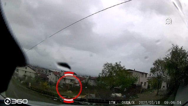 Bakkala giderken sahipsiz köpeklerin saldırdığı çocuk ağır yaralandı