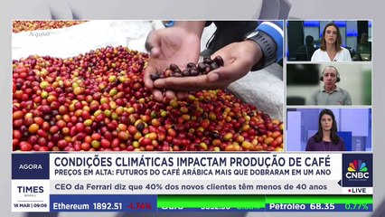 Condições climáticas elevam preço do café e ameaçam produção; especialista explica