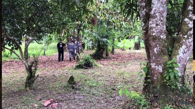 b'Corpo de homem encontrado dentro de cova em Benevides'