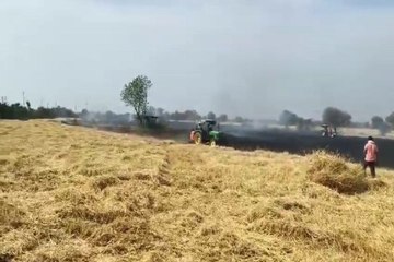 अतरालिया में  40 एकड़ गेहूं की खड़ी फसल जलकर हुई राख
