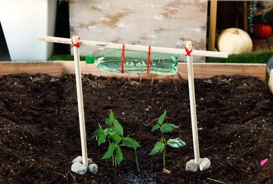 Conseils de jardinage rapides pour des résultats instantanés !