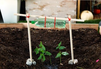 Conseils de jardinage rapides pour des résultats instantanés !