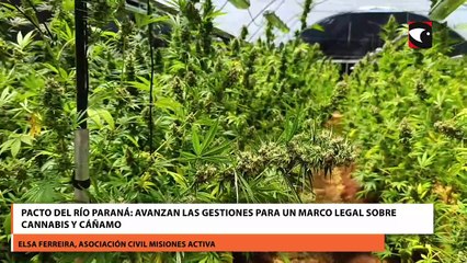 Pacto del Río Paraná avanzan las gestiones para un marco legal sobre cannabis y cáñamo