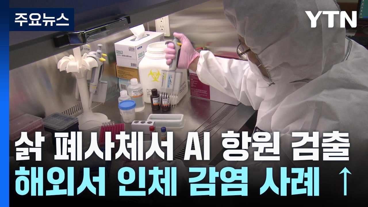 국내 첫 포유류 조류인플루엔자 감염 확인...인체 감염 우려 / YTN