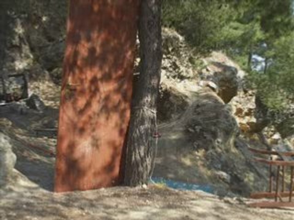 Le condizioni in cui si trova il boschetto nel mio paese.