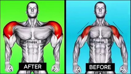 💪 Build WIDER Shoulders – Best Exercises for a Bigger, Broader Frame! 🔥🏋️‍♂️ | Prime Fitness Hub