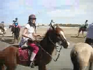 Rando en Camargue , Dans l'eau