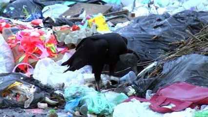 b'LIXO CANAL S JOAQUIM'