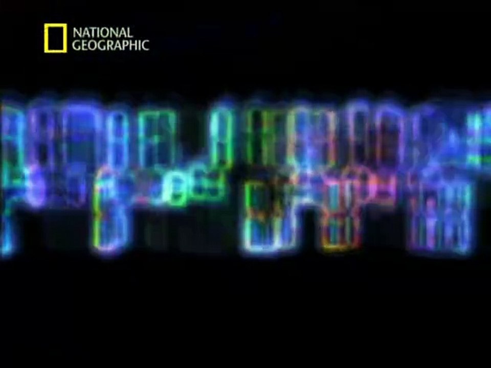 DNA Mysteries: The Search For Adam (National Geographic Documentary)