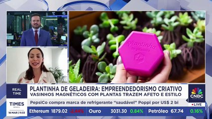 Plantinha de Geladeira: empreendedorismo criativo que conecta pessoas à natureza; criadora detalha