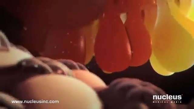 Fertilization of a human egg #egg #sperm #foetus #babyformation