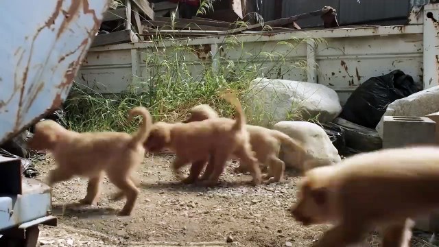 La amistad siempre vence al mal _ Pelicula Familia de comedia _ Peliculas completas en español(720P_HD)