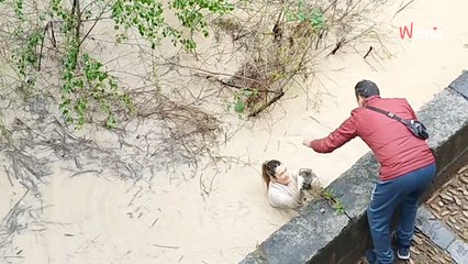 Heroico rescate en el Guadalquivir: una mujer se lanza al agua para salvar a un gato atrapado