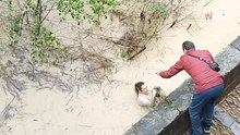 Heroico rescate en el Guadalquivir: una mujer se lanza al agua para salvar a un gato atrapado