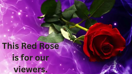 "How Well Do You Know Daily Life? 50 Quiz Questions to Challenge Your Habits!"