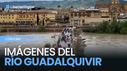 El río Guadalquivir muestra su caudal más alto tras las lluvias en Córdoba