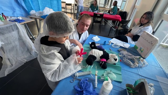 Soigner son doudou pour ne plus avoir peur de l’hôpital