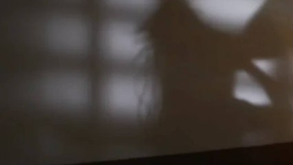 Fuerte llamado de las autoridades: piden denunciar casos de violencia