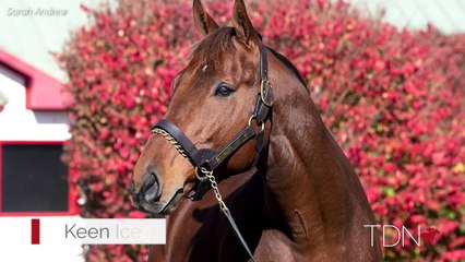 Larry Collmus Joins the TDN Writers' Room