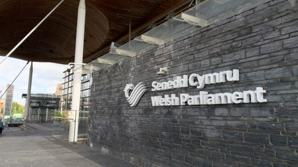 Plaid Cymru leader calls on First Minister to condemn UK gov benefit cuts