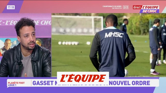 Gasset maintenu à son poste jusqu'à nouvel ordre - Foot - L1 - Montpellier