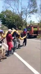 VIDEO: Trabajadores rescataron a una enorme boa en Venezuela