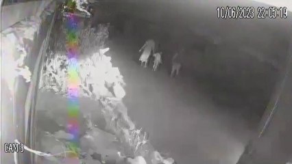 b'assalto motorista app sideral'