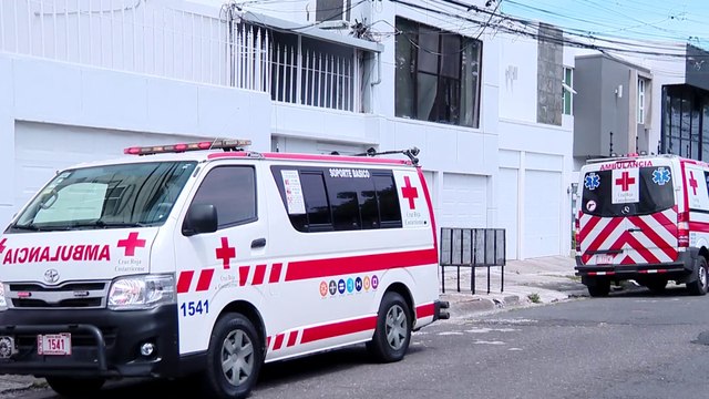 tn7-abejas-en-colegio-de-pavas-180325