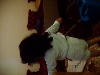 Ladance Innocente: A Gentle Tale