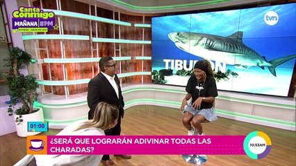 Jugamos a las charadas de sonidos