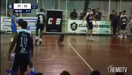 b'Cachorro quadra basquete'