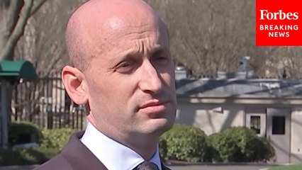 'The Whole Thing Is Just Preposterous': Stephen Miller Slams Controversy Over Judge's Verbal Order
