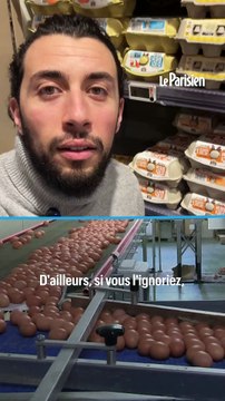 Les oeufs disparaissent-ils de nos rayons ?
