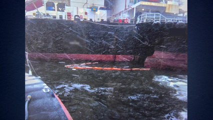 평택 당진항 부두에서 기름 유출...긴급 방제조치 / YTN