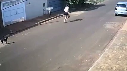 b'De cueca homem persegue e arrasta companheira'