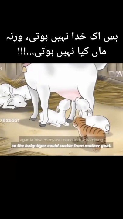 بس ماں اک رب نہیں ہوتی باقی سب کچھ ہوتی ہے