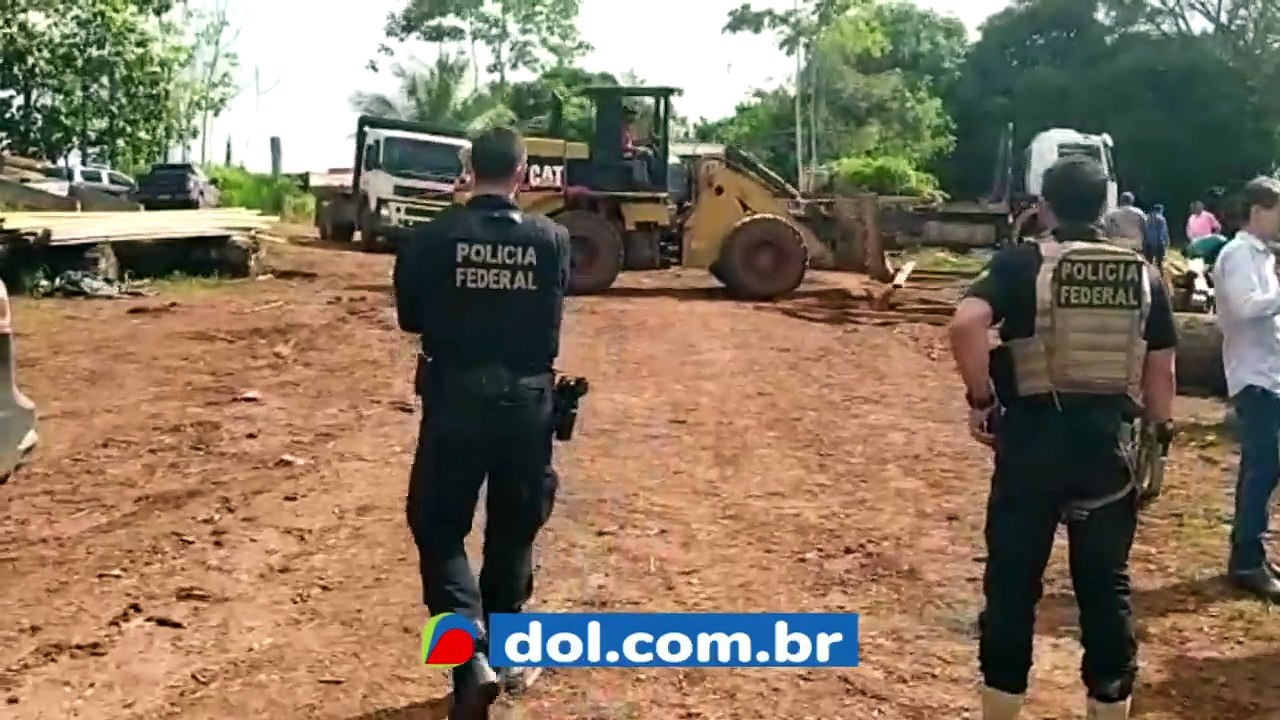 b'Operaa7o da PF em Altamira contra desmatamento'