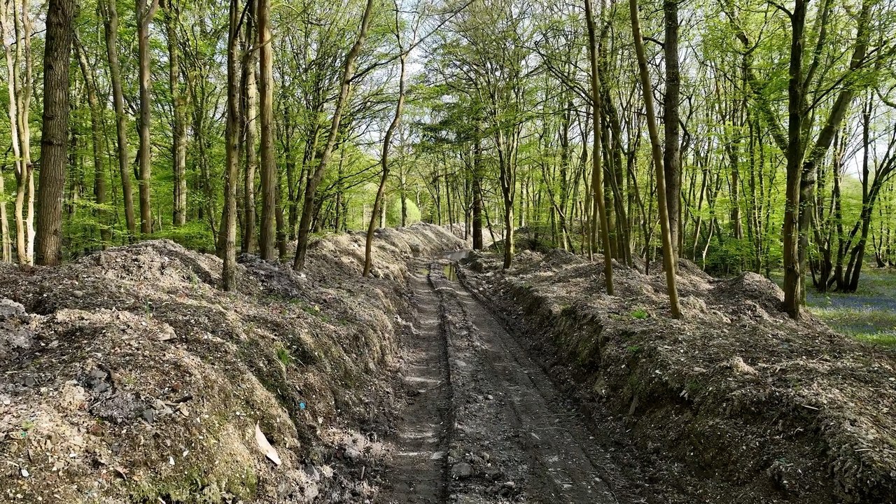 Hoads Woods sees a positive future as plans prepare to remove landfill ...