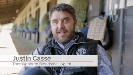 Why Does Justin Casse Read the TDN?
